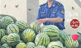 吃瓜大全抖音,揭秘“吃瓜大全”背后的趣味与真相