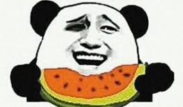 吃瓜同事们,同事间的八卦风云录