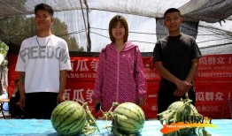 德才高中吃瓜组,揭秘校园风云，笑谈青春岁月