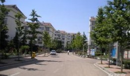 金水翠园吃瓜,夏日吃瓜盛宴，畅享清凉时光