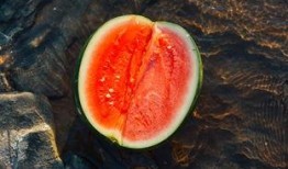 吃瓜558665,揭秘吃瓜558665背后的故事与真相