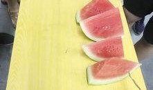 安静吃瓜的教学视频,跟随安静吃瓜教学视频，解锁休闲新姿势