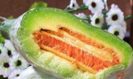 吃心脏什么瓜,吃心脏瓜的神奇功效与食用方法