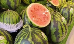 男子吃瓜反应,揭秘瓜界新潮流