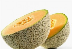 海盗吃哈密瓜,海上奇遇记