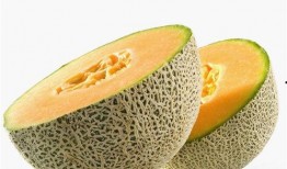 海盗吃哈密瓜,海上奇遇记