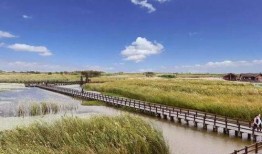 宁波镇海吃瓜,探寻宁波镇海特色美食之旅