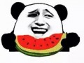 阿瓜吃瓜不买瓜是什么歌,揭秘流行歌曲背后的趣味故事