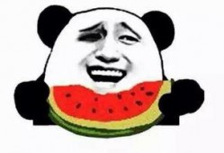 阿瓜吃瓜不买瓜是什么歌,揭秘流行歌曲背后的趣味故事