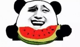 阿瓜吃瓜不买瓜是什么歌,揭秘流行歌曲背后的趣味故事