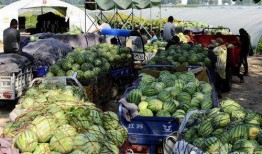 吃瓜河南商丘,探寻河南美食之旅