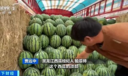 亲家公吃瓜,揭秘家庭纷争背后的真相