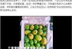 吃瓜大学改名大全,揭秘高校更名背后的故事与变迁