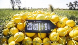 吃瓜大全抖音,揭秘“吃瓜大全”背后的趣味与真相