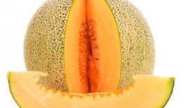 吃哈密瓜能丰胸吗
