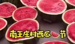 保定吃瓜群众,吃瓜群众的热议焦点