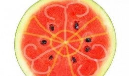 高级吃瓜老头,揭秘高级吃瓜老头的智慧生活