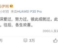 专业吃瓜语言