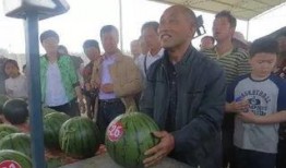 永城吃瓜群众新闻,最新新闻事件深度解析