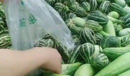 吃瓜好吃么,吃瓜好吃吗？