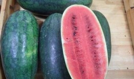 黑料社网红精品吃瓜,揭秘娱乐圈幕后真相