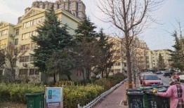 金水翠园吃瓜,夏日吃瓜盛宴，畅享清凉时光