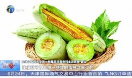 吃蜜瓜会便秘吗,蜜瓜食用后便秘？揭秘蜜瓜与便秘的关系