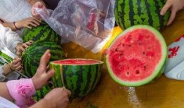 石家庄吃瓜视频,揭秘街头美食背后的故事