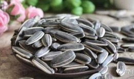 瓜壳姐吃瓜子,品味生活，乐享悠闲