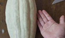 吃瓜叶能干嘛,吃瓜叶的神奇用途揭秘