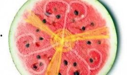 高级吃瓜老头,揭秘高级吃瓜老头的智慧生活