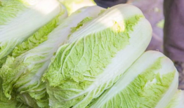 莱芜吃大瓜,吃大瓜，畅享清凉时光