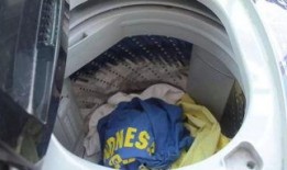 吃瓜洗衣机事件,揭秘网络舆论的发酵与反思