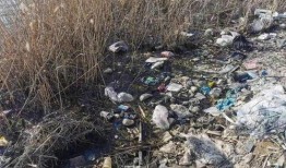 郓城公园吃瓜,畅享清凉时光