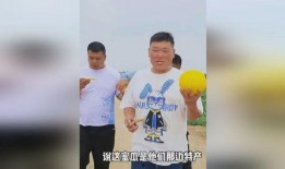 我的吃瓜兄弟,网络红人的崛起与影响力