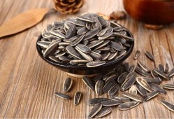 瓜壳姐吃瓜子,品味生活，乐享悠闲