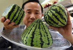 没钱吃的瓜,揭秘贫困家庭的生存困境