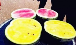 莱州今日吃瓜爆料,揭秘当地热点事件背后的真相