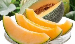 瓜州吃瓜事件,一场引发热议的网络狂欢