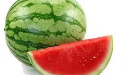 吃瓜高雅说法,一场别开生面的“瓜文化”盛宴