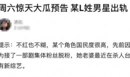 吃瓜解毒律师,律师视角下的法律案例分析