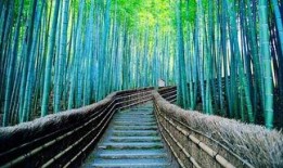 岚山映像吃瓜,揭秘网红美食背后的吃瓜故事