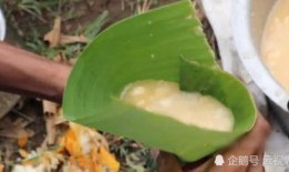 果断吃瓜,揭秘娱乐圈那些不为人知的幕后故事