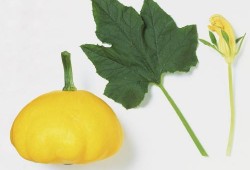 aka叶子吃瓜,揭秘娱乐圈的幕后故事