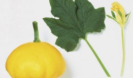 aka叶子吃瓜,揭秘娱乐圈的幕后故事