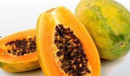 梦见吃的瓜坏了,瓜坏预示的深层寓意