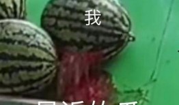 吃瓜不忘屙瓜人,揭秘人生百态的幽默哲学