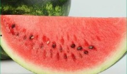 吃二瓜长胖,美味与身材的平衡之道