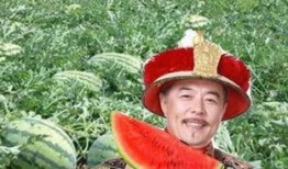 吃瓜第一线 瓜农,揭秘瓜农的辛勤与智慧