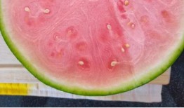 吃瓜就要吃全瓜吗为什么,揭秘“吃瓜就要吃全瓜”背后的饮食哲学